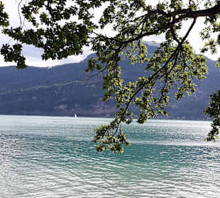 Wolfgangsee