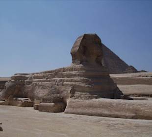 Die Sphinx