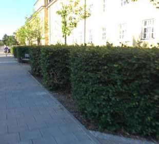 Haus St. Josef - Münchenstift