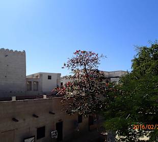 Ras Al Khaimah Museum