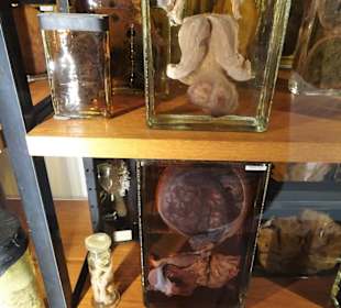 Feuchtpräparate in der Pathologie