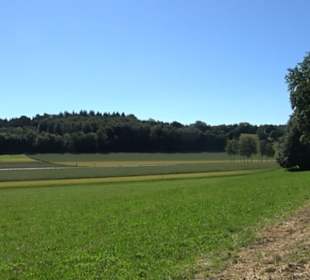 Ameisenlehrpfad Holzelfingen