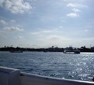 Im Hafen von Bayahibe