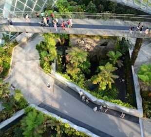 Gardens by the Bay