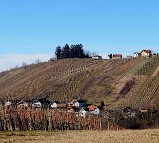 Aussicht in die Weinberge