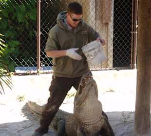 Everglades Safari Park