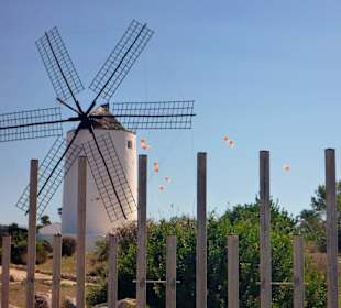 Windmühle an der Promenade