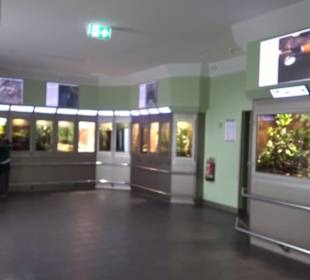 Aquarium