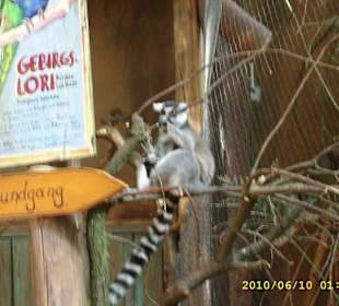 Tierpark Hagenbeck