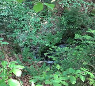 Teufelskanzelsteig Bad Griesbach