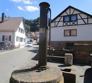  Dornröschen-Rundwanderweg