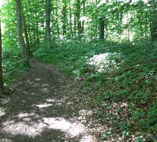 Premiumwanderweg "hochgelegen"