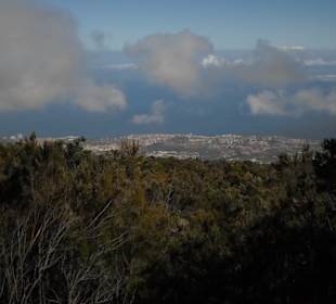  Parque Nacional del Teide