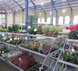 Altstadt Hagenau Markt