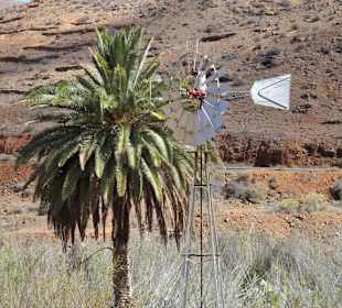 Impressionen aus dem Vega de Rio Palmas