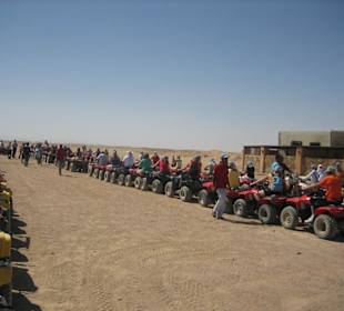 Bei der Dessert Safari