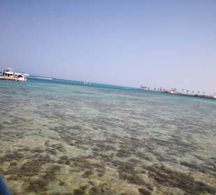 Giftun Inseln / Mahmya