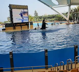 Loro Parque 