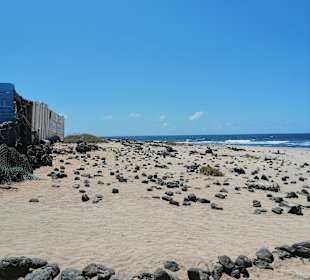 Naturpark Dünen von Corralejo