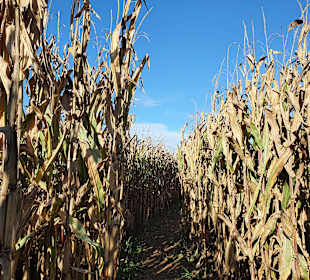 Bauer-Lipp Weiterstadt