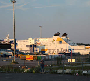 Nils Holgersson im Skandinavienkai