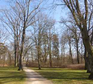 Unterwegs im Park der Wehranlagen Schweinfurt