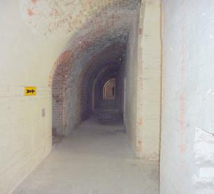 Museum