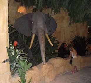 В гипермаркете