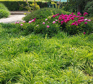Umgebung + Botanischer Garten Baltschik + Schloss