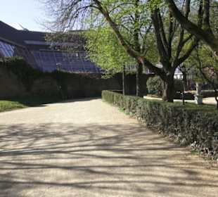 Palastgarten