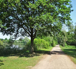 Der Rundweg um den See