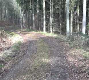 Rundwanderung durch den Rauhen Rammert Hemmendorf