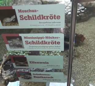 Südamerika Bereich - Südamerikahaus