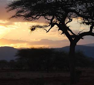 Abendstimmung im Nationalpark