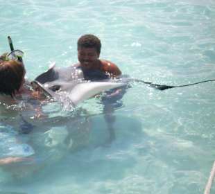 Cayman Island Stingray City