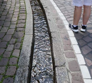 Ein Freiburger Bächle