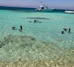 Basant Tours - Limousinen-Service 