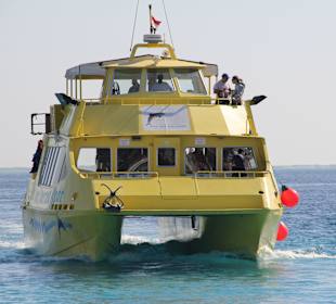 Экскурсия с прозрачным дном. Рекомендую!