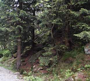 Karkonoski Park Narodowy