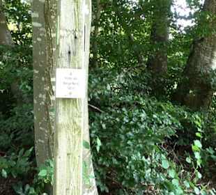 Premiumwanderweg "hochgesprudelt"