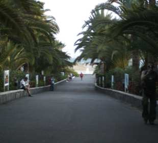 Öffentlicher Weg zu den Dünen