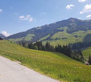 Wandern Alpbach