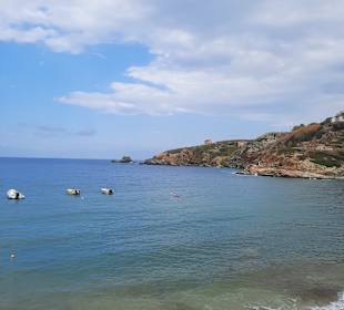 Strand Ligaria