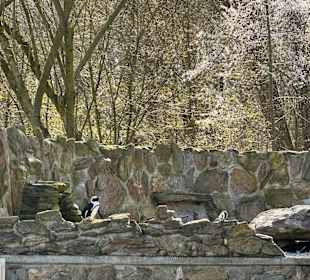 Tiergarten Straubing