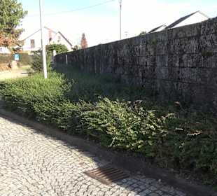 Friedhof Schlaitdorf