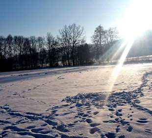 Toller Lichteinfall an der Liegewiese