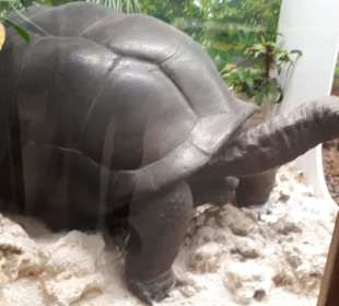 Naturhistoriska Museum