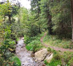 Am Fischbach entlang