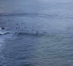 Surferzy pływający pod Golden Gate