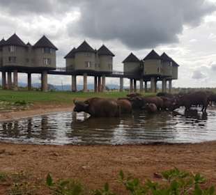 Saltlike Lodge